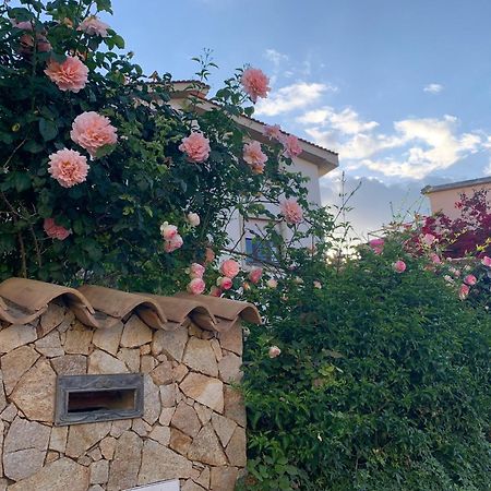 Marco'S House Villa Dolianova ภายนอก รูปภาพ
