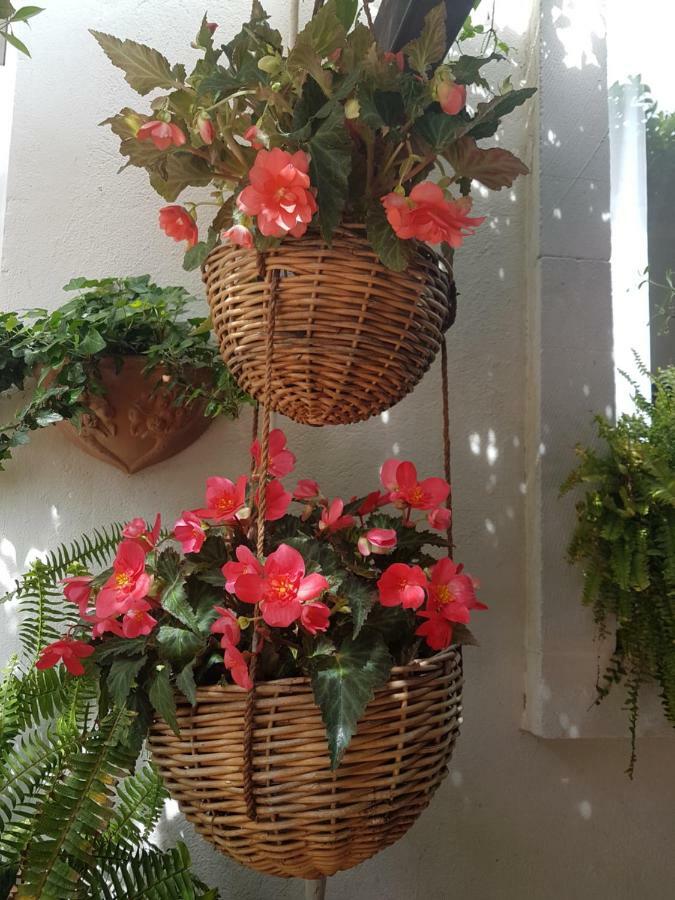 Marco'S House Villa Dolianova ภายนอก รูปภาพ