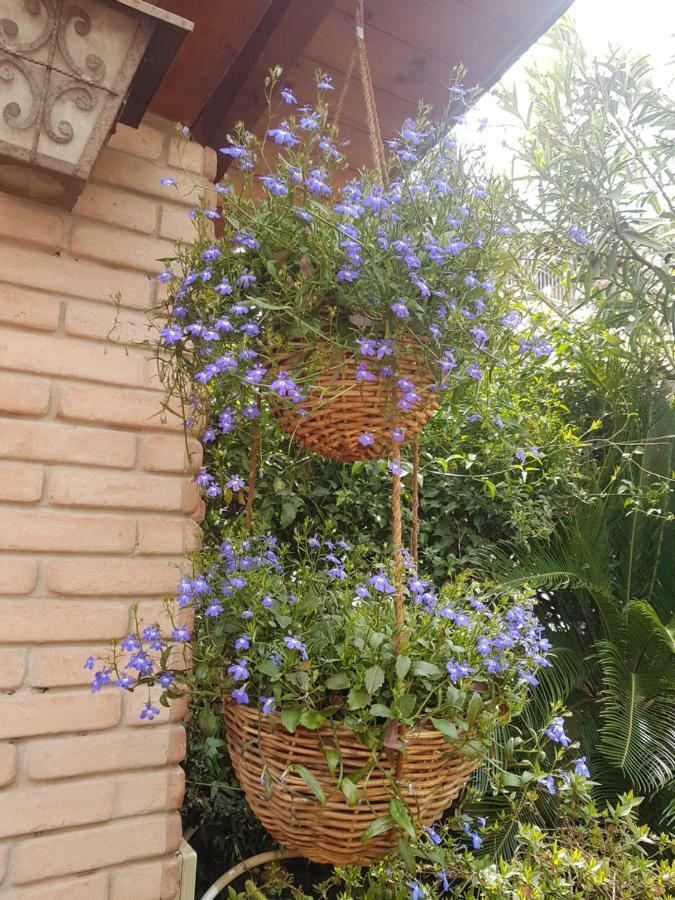 Marco'S House Villa Dolianova ภายนอก รูปภาพ