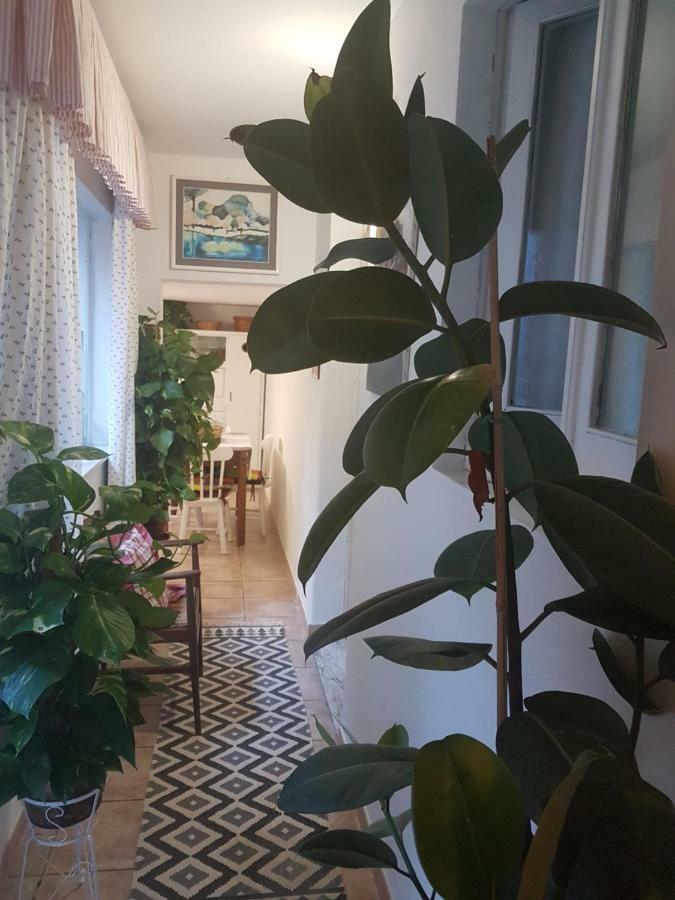 Marco'S House Villa Dolianova ภายนอก รูปภาพ