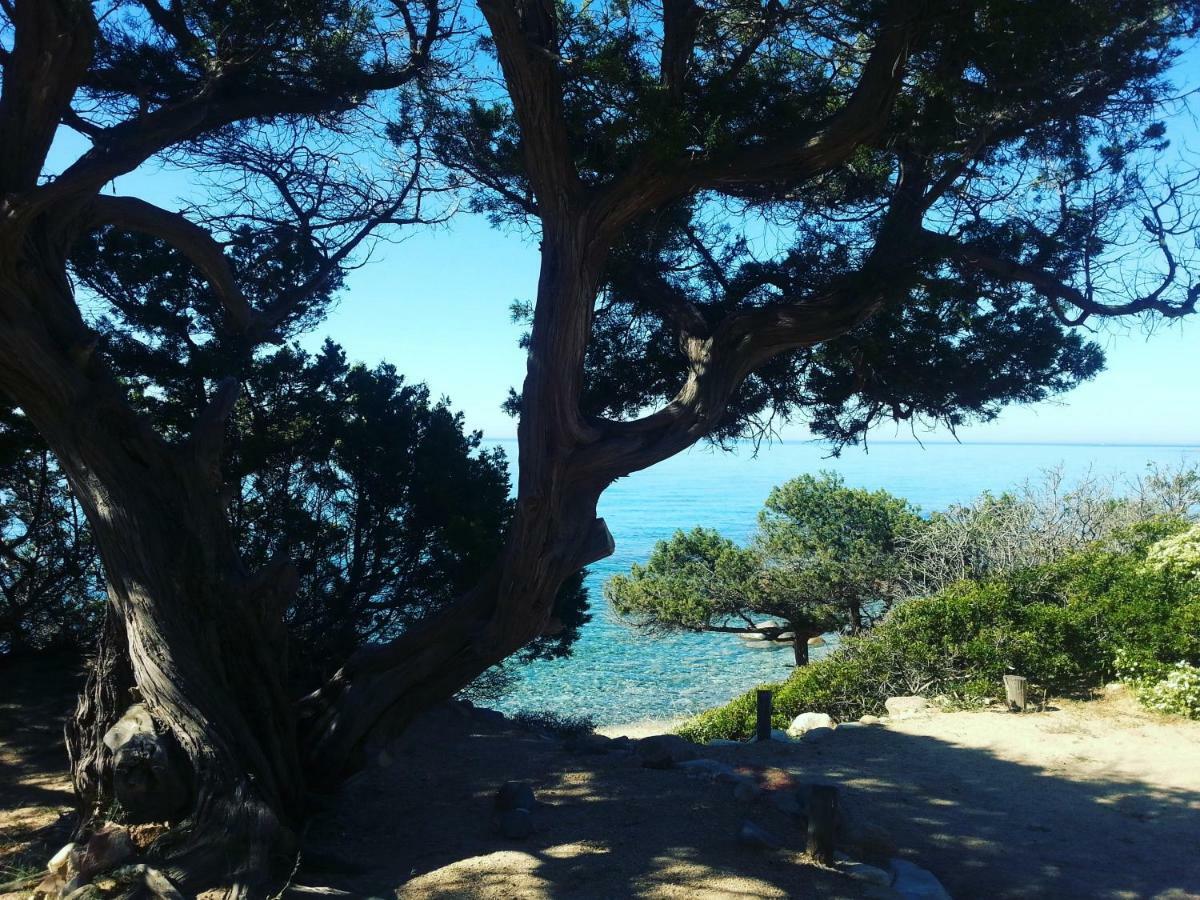 Marco'S House Villa Dolianova ภายนอก รูปภาพ